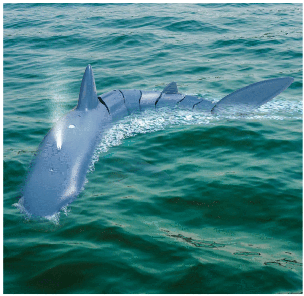 RC Shark Toy – 2.4GHz Realistic Swimming Shark with Spray & LED Lights, Pool & Bath Toy – Rechargeable Battery – Fun Gift for Kids 6+ (Boys & Girls) - Image 3